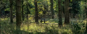 Linford Wood - Park Image