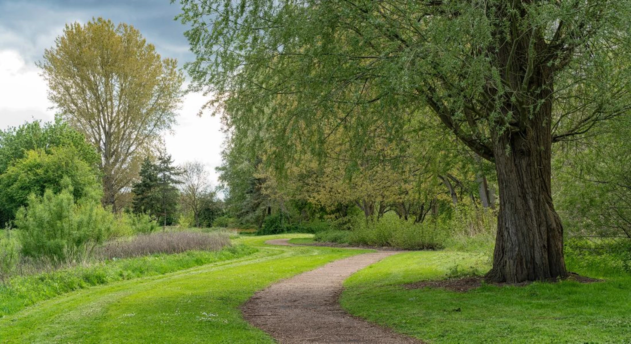 Broughton Brook Accessible Guided Walk - Media.jpg